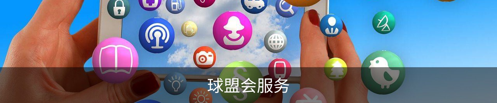 球盟会服务