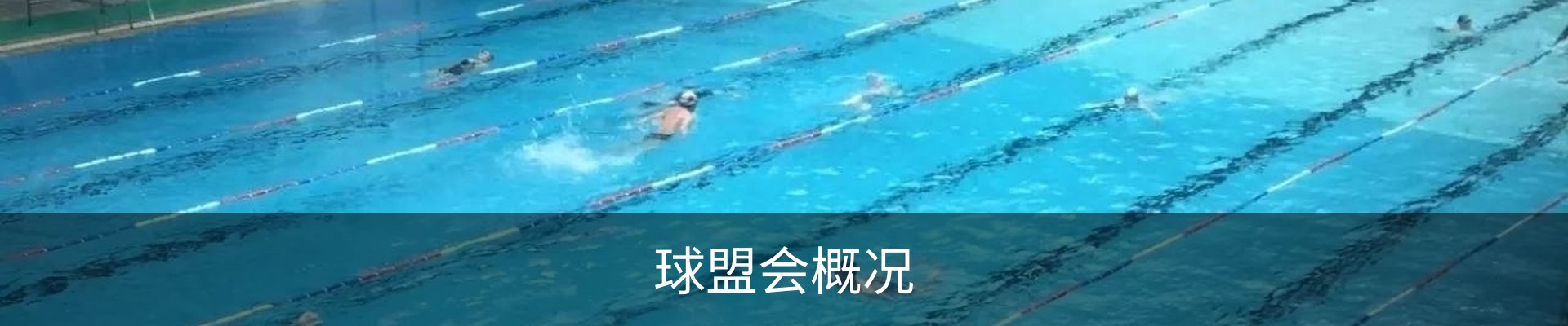 球盟会概况
